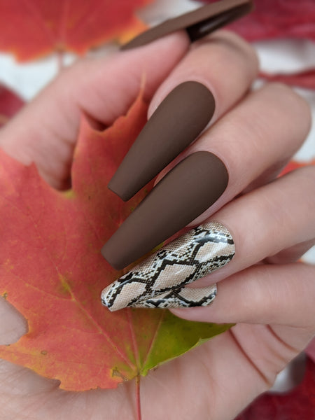 Chocolate Serpent - Press on Nails, Nail decals, Nails