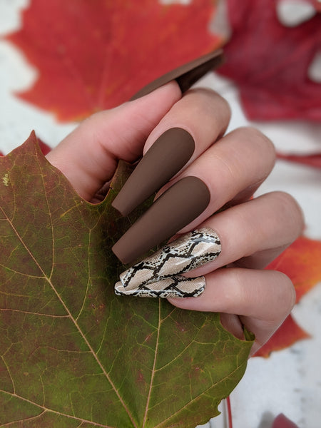 Chocolate Serpent - Press on Nails, Nail decals, Nails